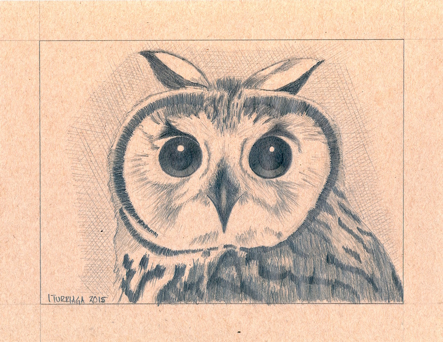 Striped_Owl.jpg